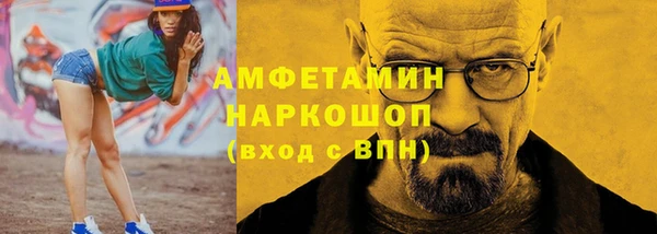 сатива Лабытнанги