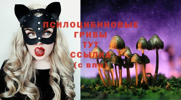 хмурый Заволжск