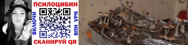 Галлюциногенные грибы мухоморы  Татарск 