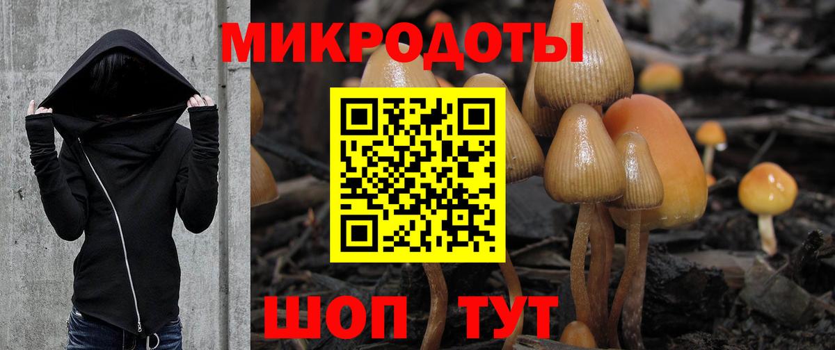 Татарск  Галлюциногенные грибы Cubensis  Вход с VPN  Галлюциногенные грибы прущие грибы 